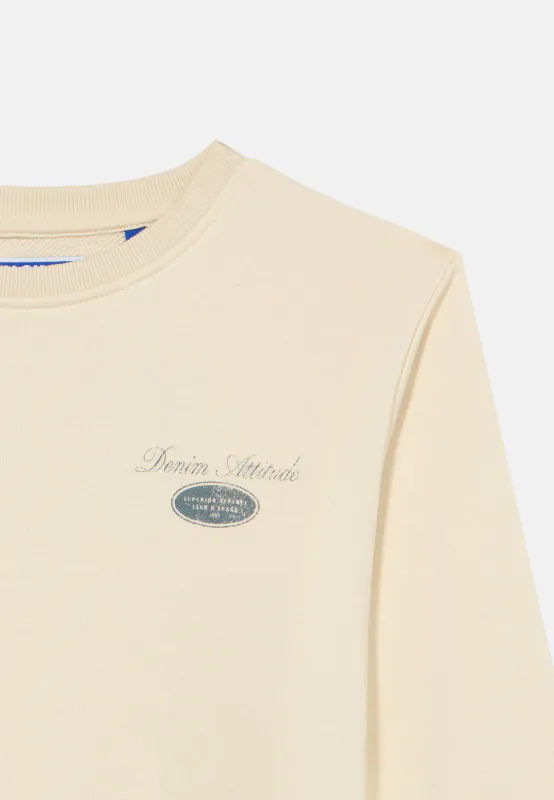 Jack&Jones jr Dover Graphic Sweat Genser - Antique White