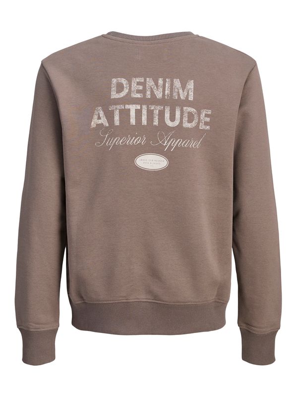 Jack&Jones jr Dover Graphic Sweat Genser - Falcon